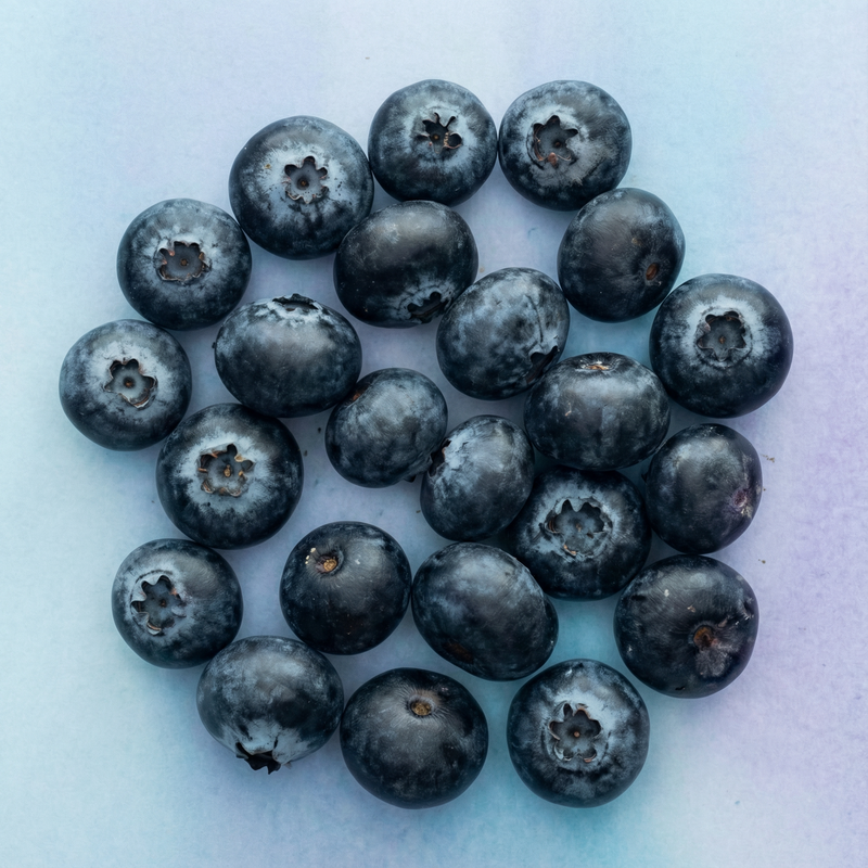 Bilberry Extract